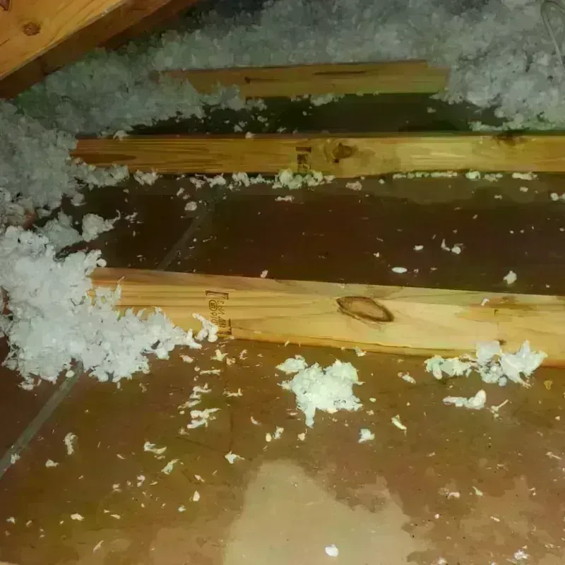 Attic Water Damage in Roane County, WV